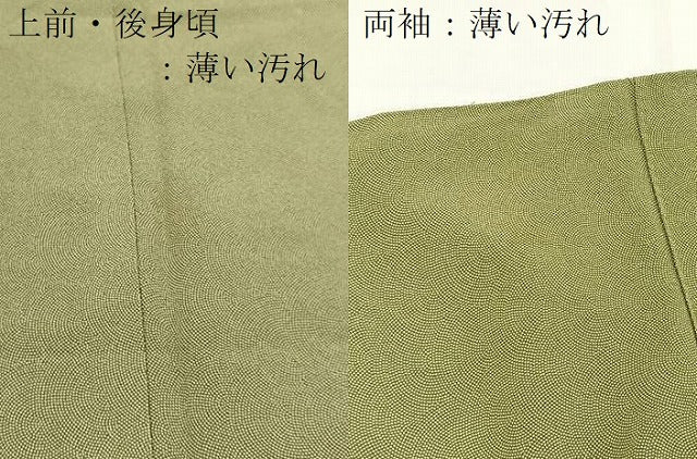 平和屋着物■江戸小紋　鮫小紋柄　正絹　逸品　BAAY5487yc