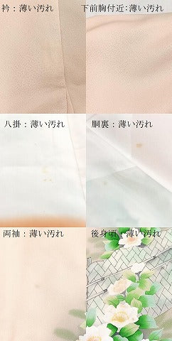 平和屋着物■訪問着　手描き　籬花文　暈し染め　洗柿色　正絹　逸品　BAAY5581yc