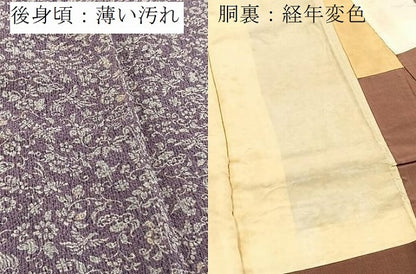 平和屋着物■上質な小紋　花鳥文　鬼しぼ縮緬　正絹　逸品　BAAY5601yc