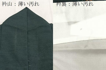 平和屋着物■上質な紬　南天文　正絹　逸品　BAAY5641yc