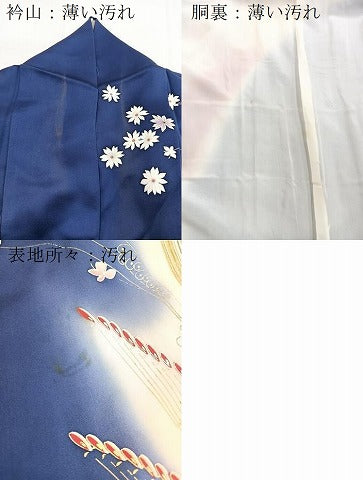 平和屋着物■豪華振袖　花蝶文　暈し染め　金銀彩　正絹　逸品　BAAY5653yc