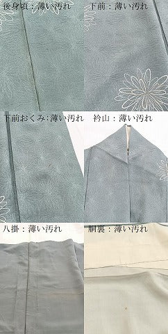 平和屋着物■訪問着　舞花文　金糸　正絹　逸品　BAAY5659yc