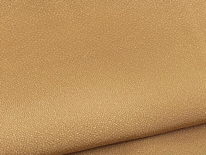 平和屋着物■上質な小紋　霞文　暈し染め　正絹　逸品　未使用　BAAY5679yc