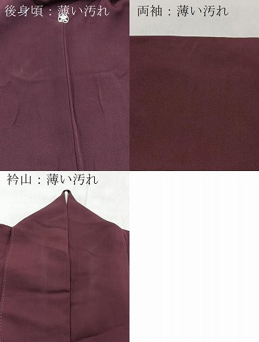 平和屋着物■豪華色留袖　寿光織　能　金糸　正絹　逸品　BAAY5733yc