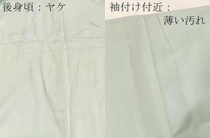 平和屋着物■訪問着　友禅　草花文　正絹　逸品　BAAY5744yc