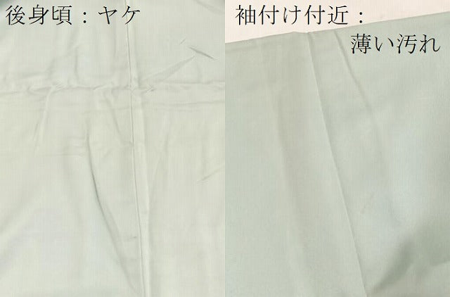 平和屋着物■訪問着　友禅　草花文　正絹　逸品　BAAY5744yc