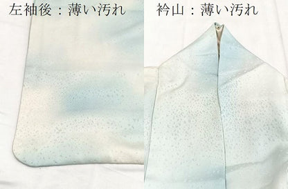 平和屋着物■訪問着　銀駒刺繍　花蝶文　暈し染め　銀彩　正絹　逸品　BAAY5745yc