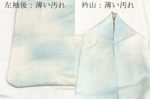 平和屋着物■訪問着　銀駒刺繍　花蝶文　暈し染め　銀彩　正絹　逸品　BAAY5745yc