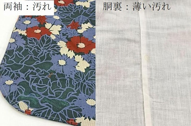 平和屋着物■セミアンティーク　大正ロマン　小紋　花尽くし文　正絹　逸品　BAAY5769yc