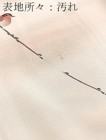 平和屋着物■訪問着　人物花鳥文　暈し染め　正絹　逸品　BAAY5775yc