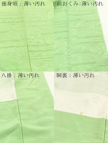 平和屋着物■上質な色無地　エジプト壁画地紋　若緑色　正絹　逸品　BAAY5789yc