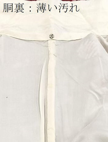 平和屋着物■上質な小紋　絞り　万寿菊文　正絹　逸品　未使用　BAAY5792yc