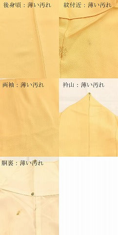 平和屋着物■上質な色無地　霞地紋　蜂蜜色　正絹　逸品　BAAY5813yc