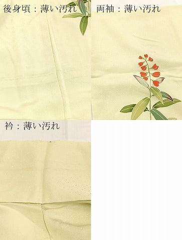 平和屋着物■訪問着　刺繍　草花文　金彩　正絹　逸品　BAAY5824yc