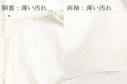 平和屋着物■訪問着　手描き　草花文　正絹　逸品　BAAY5876yc