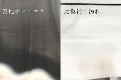 平和屋着物■豪華黒留袖　飛鶴風景文　金彩　正絹　逸品　BAAY5886yc