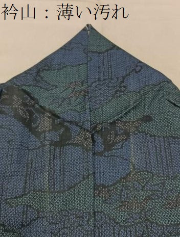平和屋着物■本場染大島紬　雪輪重ね草花文　正絹　逸品　BAAY6002hj