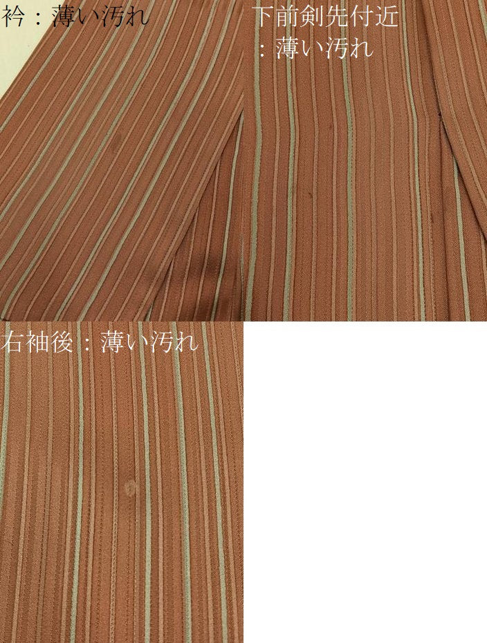 平和屋着物■上質な小紋　縞　正絹　逸品　BAAY6021hj