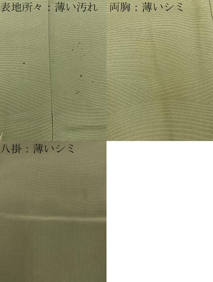平和屋着物■訪問着　枝葉文　暈し染め　金彩　正絹　逸品　BAAY6034hj