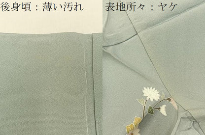 平和屋着物■訪問着　花筏　暈し染め　金銀彩　正絹　逸品　BAAY6040hj