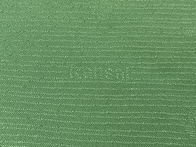 平和屋着物■世界的ファッションデザイナー　山本寛斎　kansaiブランド監修　色無地　花地紋　薄緑色　さが美扱い　正絹　逸品　BAAY6095hj