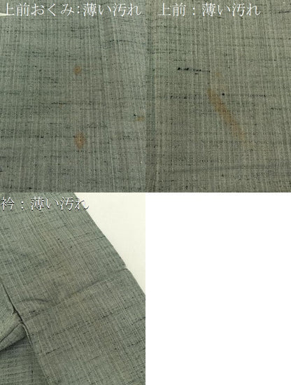 平和屋着物■上質な紬　胴抜き仕立て　霞文　正絹　逸品　BAAY6100hj