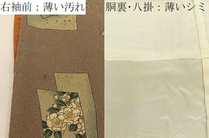 平和屋着物■上質な小紋　短冊花鳥文　金彩　鬼しぼ縮緬　正絹　逸品　BAAY6146hj