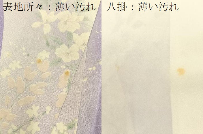 平和屋着物■上質な小紋　草花文　暈し染め　正絹　逸品　BAAY6150hj