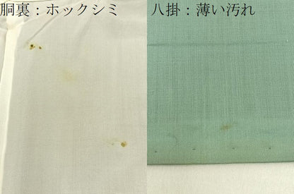 平和屋着物■上質な紬　霞文　正絹　逸品　BAAY6170hj