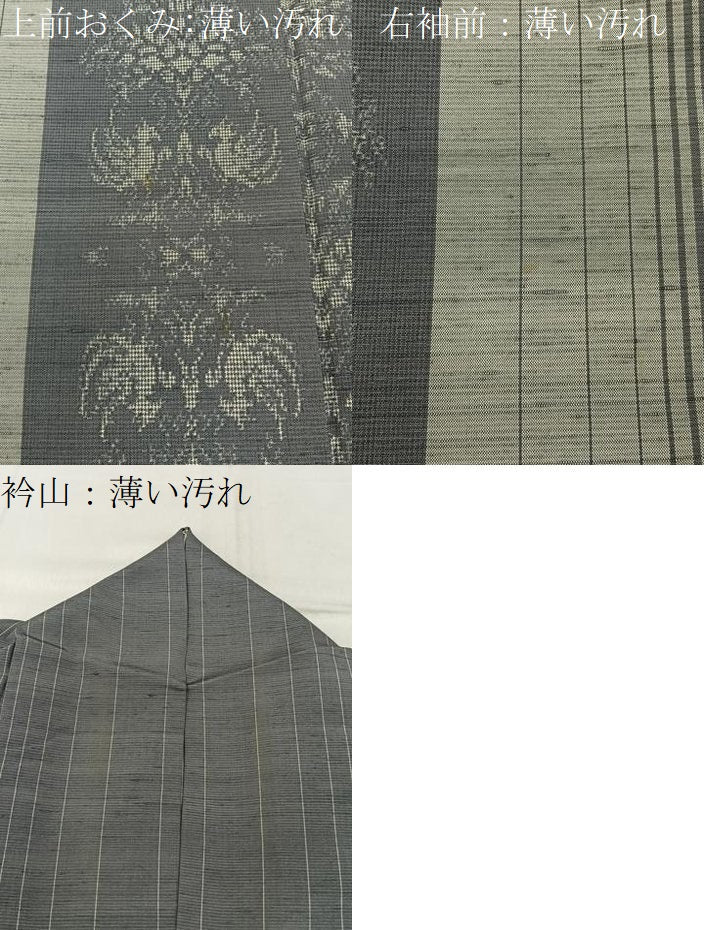 平和屋着物■上質な紬　向かい鳳凰間道　正絹　逸品　BAAY6178hj