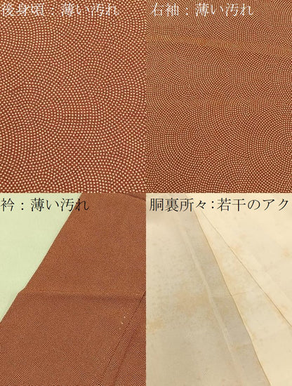 平和屋着物■江戸小紋　鮫小紋柄　三越扱い　正絹　逸品　BAAY6193hj