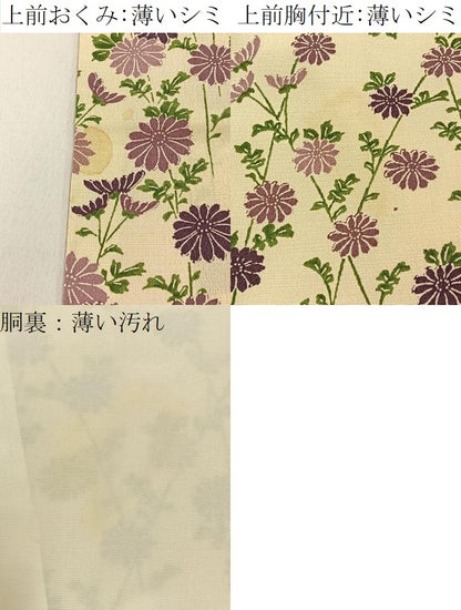 平和屋着物■訪問着　菊　正絹　逸品　BAAY6220hj