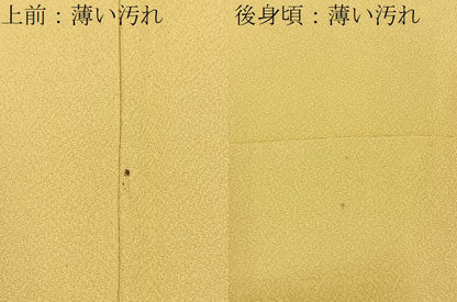 平和屋着物■上質な色無地　衣紋道高倉流　花菱地紋　卵色　正絹　逸品　BAAY6238hj