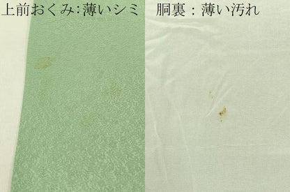 平和屋着物■本草木染作家　瑞寶　色無地　草花地紋　若芽色　正絹　逸品　BAAY6265hj