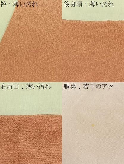 平和屋着物■上質な色無地　作家物　深支子色　ますいわ屋扱い　正絹　逸品　BAAY6278hj