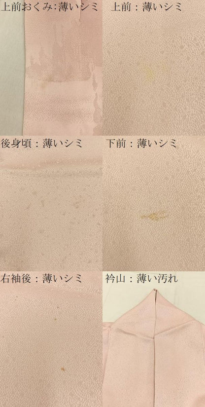 平和屋着物■色留訪問着　地紋起こし　樹林文　暈し染め　正絹　逸品　BAAY6290hj