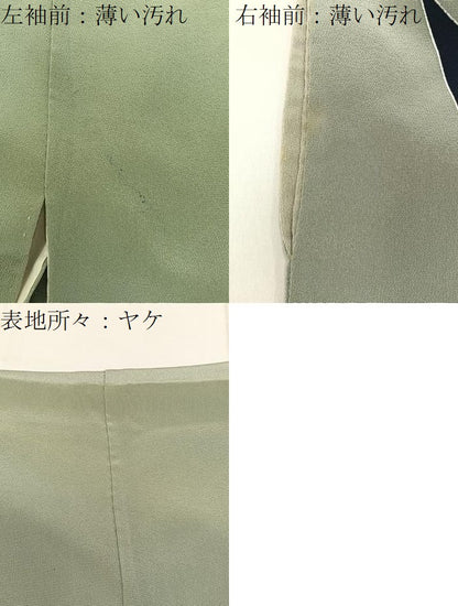 平和屋着物■訪問着　型染め　風景文　金彩　正絹　逸品　BAAY6292hj