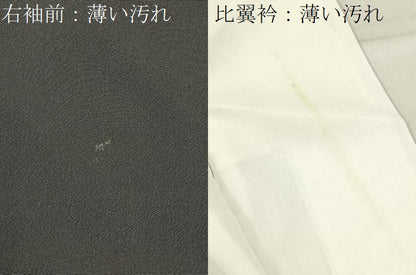 平和屋着物■豪華黒留袖　平安人物文　金銀彩　正絹　逸品　BAAY6301hj