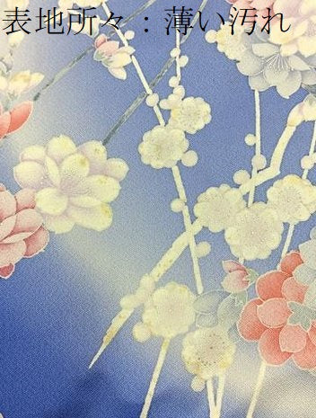 平和屋着物■豪華振袖　枝花文　暈し染め　銀彩　正絹　逸品　BAAY6314hj