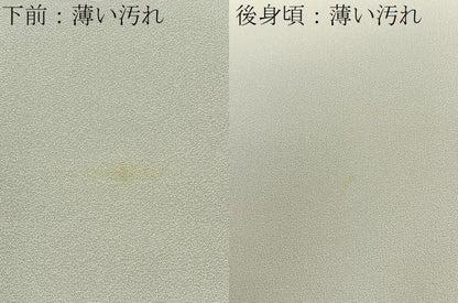 平和屋着物■豪華色留袖　寿光織　人物風景文　暈し染め　金糸　正絹　逸品　BAAY6348hj