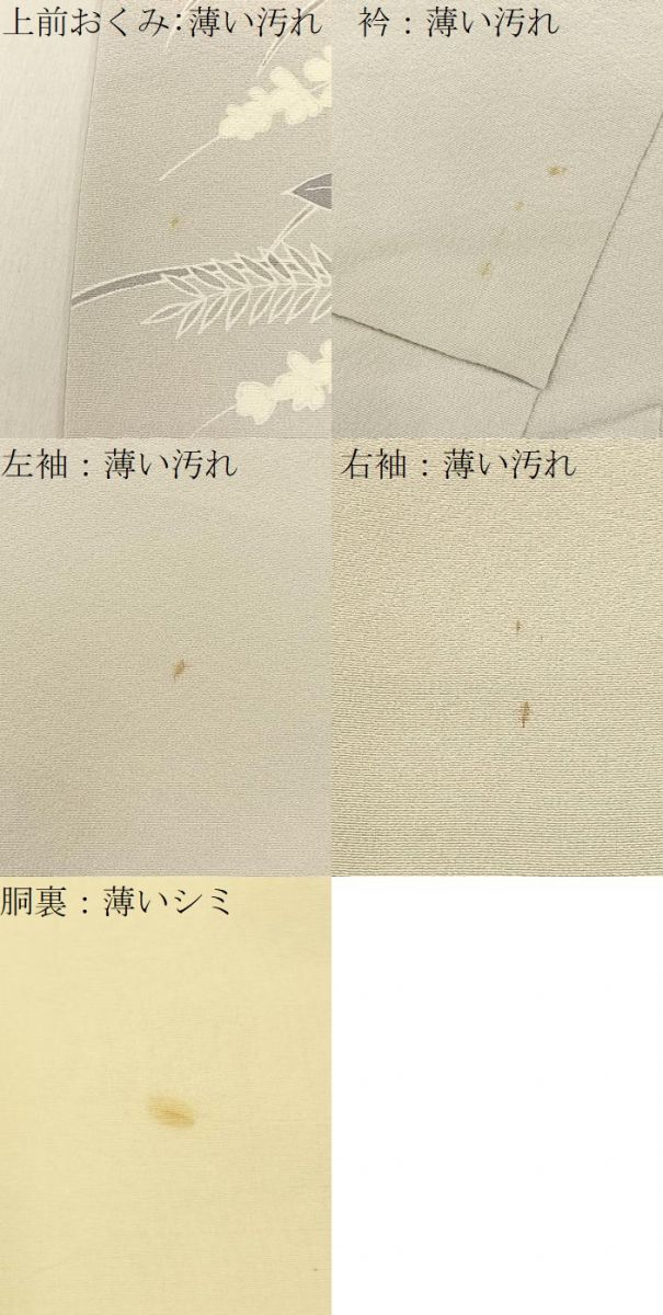 平和屋着物■訪問着　作家物　カトレア　金彩　正絹　逸品　BAAY6367hj