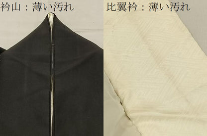 平和屋着物■豪華黒留袖　総刺繍　蓑亀　金銀糸　正絹　逸品　BAAY6408hj