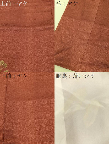 平和屋着物■訪問着　花喰い鳥　暈し染め　金彩　正絹　逸品　BAAY6420hj