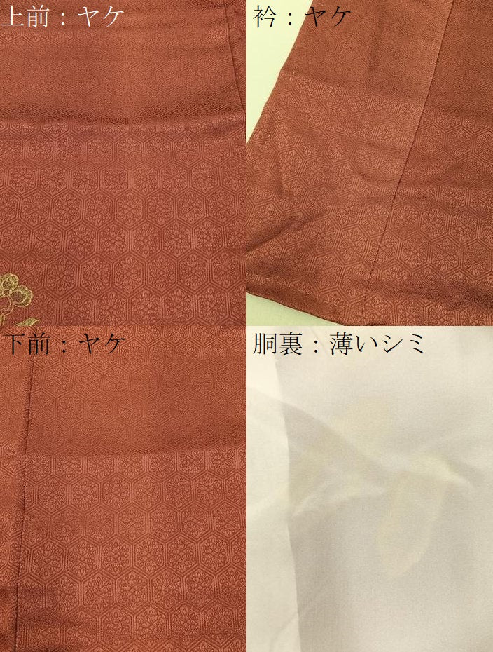 平和屋着物■訪問着　花喰い鳥　暈し染め　金彩　正絹　逸品　BAAY6420hj