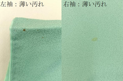 平和屋着物■訪問着　草花文　正絹　逸品　BAAY6421hj