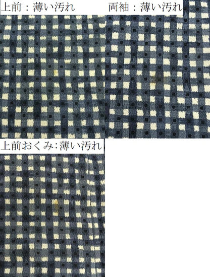 平和屋着物■上質な小紋　格子柄　正絹　逸品　BAAY6427hj