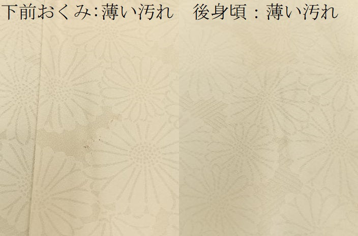 平和屋着物■訪問着　舞蝶文　金彩　正絹　逸品　BAAY6449hj