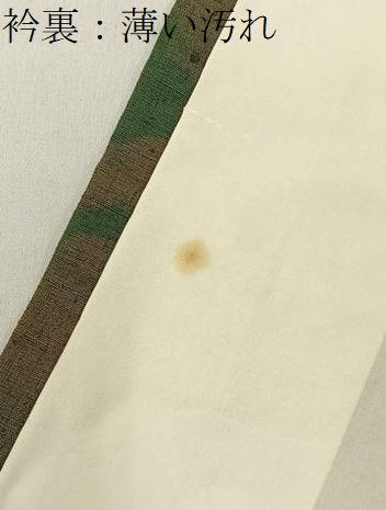 平和屋着物■上質な紬　胴抜き仕立て　風景文　ロング丈　正絹　逸品　BAAY6469hj
