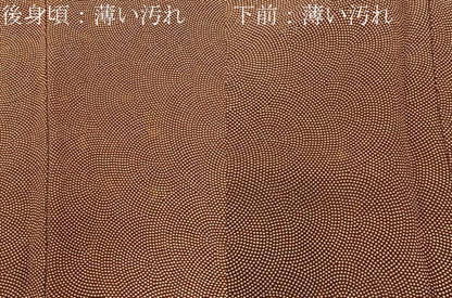 平和屋着物■江戸小紋　鮫小紋柄　正絹　逸品　BAAY6478hj