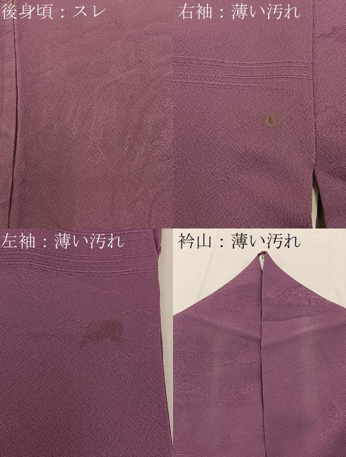 平和屋着物■上質な色無地　風景地紋　京紫色　正絹　逸品　BAAY6510hj